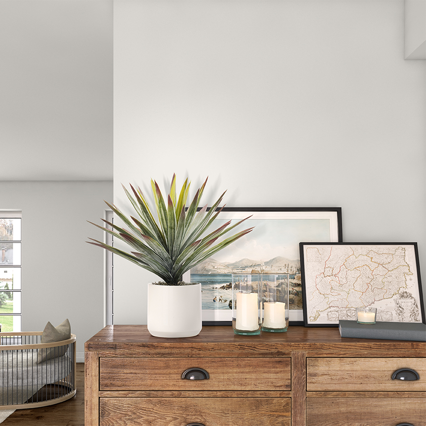 Agave in White Kendall Pot - 246016 - Image 2