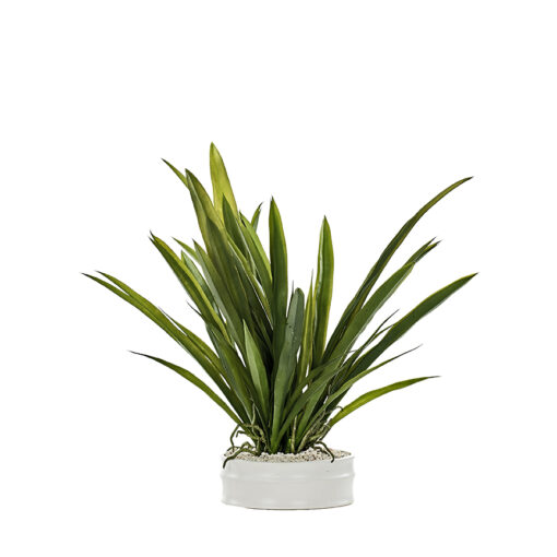 Large Orchid Leaves Matte White Bowl - 246023