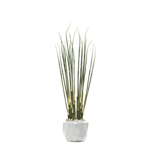 Small Horsetail Reed in Medium White Flintstone Planter - 246024