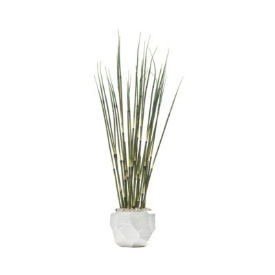 Horsetail Reed in White Geo Planter - 246025