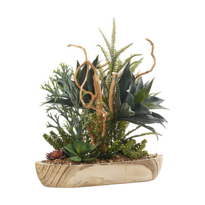 Assorted Succulents and Ferns with Sandblasted Dragonwood in Ambrose Oval Bowl - 246026