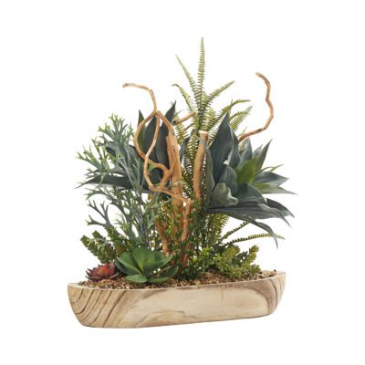 Aloe, Assorted Succulents & Ferns with Dragonwood in Ambrose Bowl - 246026