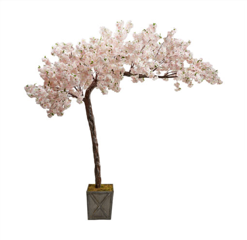 Pink Cherry Blossom Tree in Grange Planter 10.5' - 317120