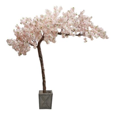 Pink Cherry Blossom Tree in Grange Planter 10.5' - 317120