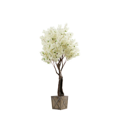White Cherry Blossom Tree in Grange Planter 8' - 317435