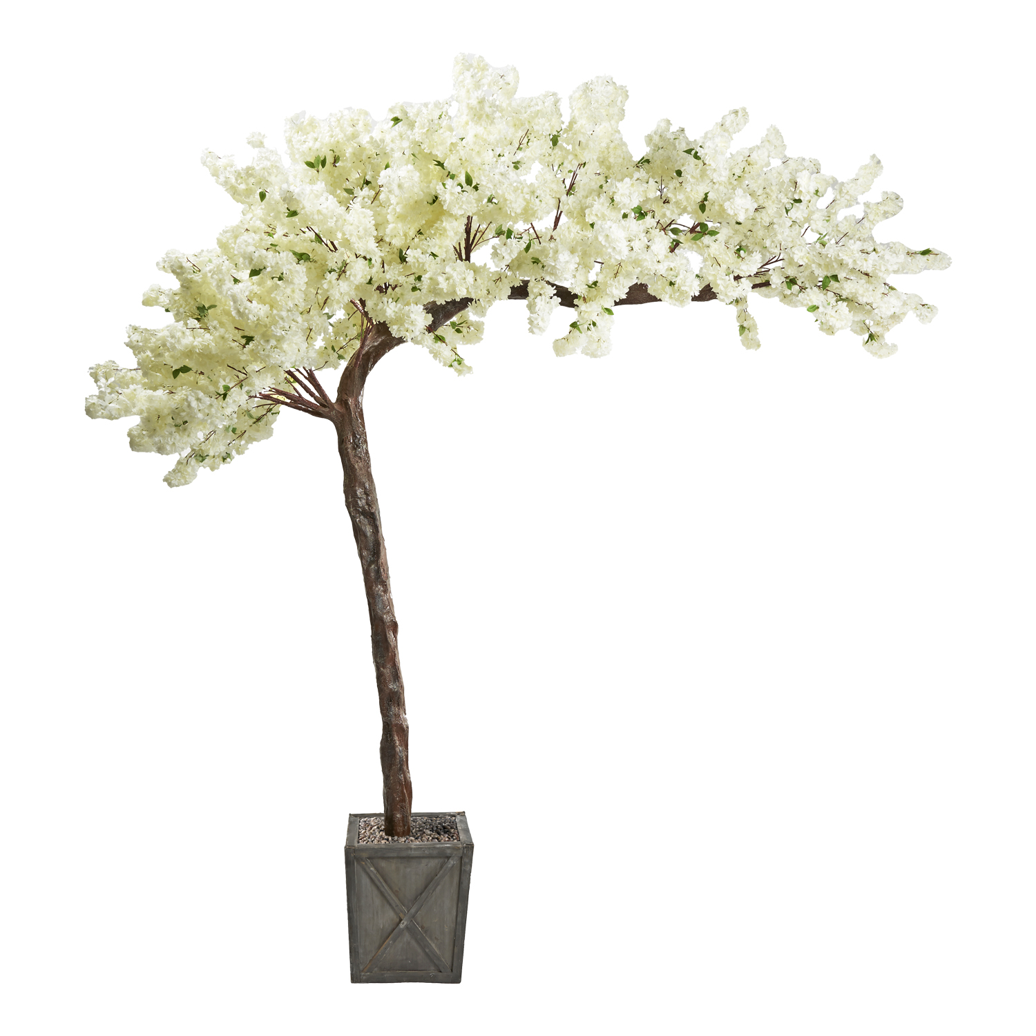 Cherry Blossom Tree in Grange Planter 10.5'