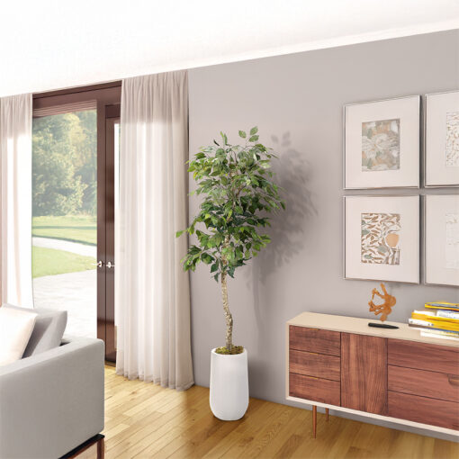 Green Ficus Tree in Clay Planter 6' - 320927-2532 - Image 2