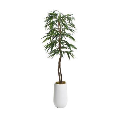 Weeping Ficus in White Clay Planter 6' - 320928-2532