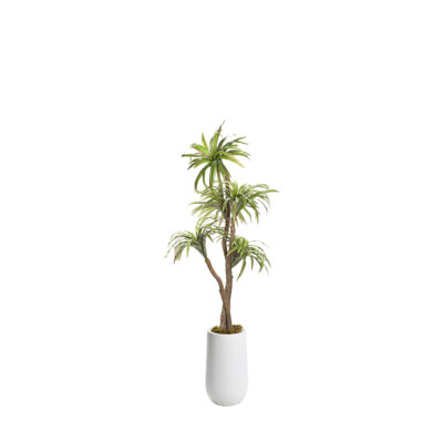 Dracaena Tree in Quinn Planter 6' - 320929-2532