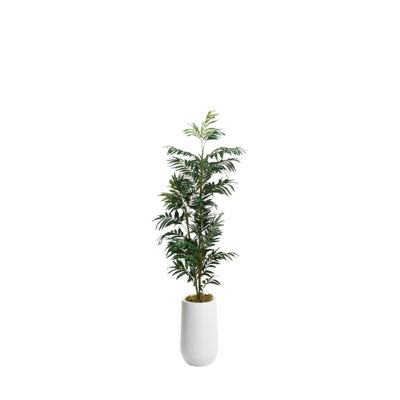 Phoenix Palm in Quinn Planter 6' - 320930-2532