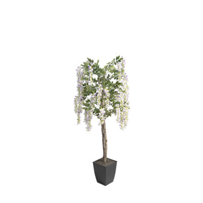 Wisteria Tree in Cardinal Planter 6' - 320947