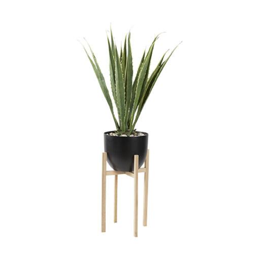 Agave Plant in Catalina Planter 5.3' - 321232 - Image 2