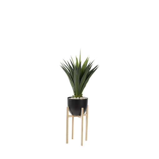 Agave Jumbo Plant in Catalina Planter 5.3' - 321233