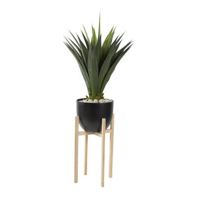 Agave Jumbo Plant in Catalina Planter 5.3' - 321233