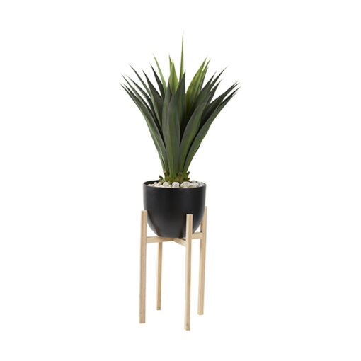 Agave Jumbo Plant in Catalina Planter 5.3' - 321233 - Image 2