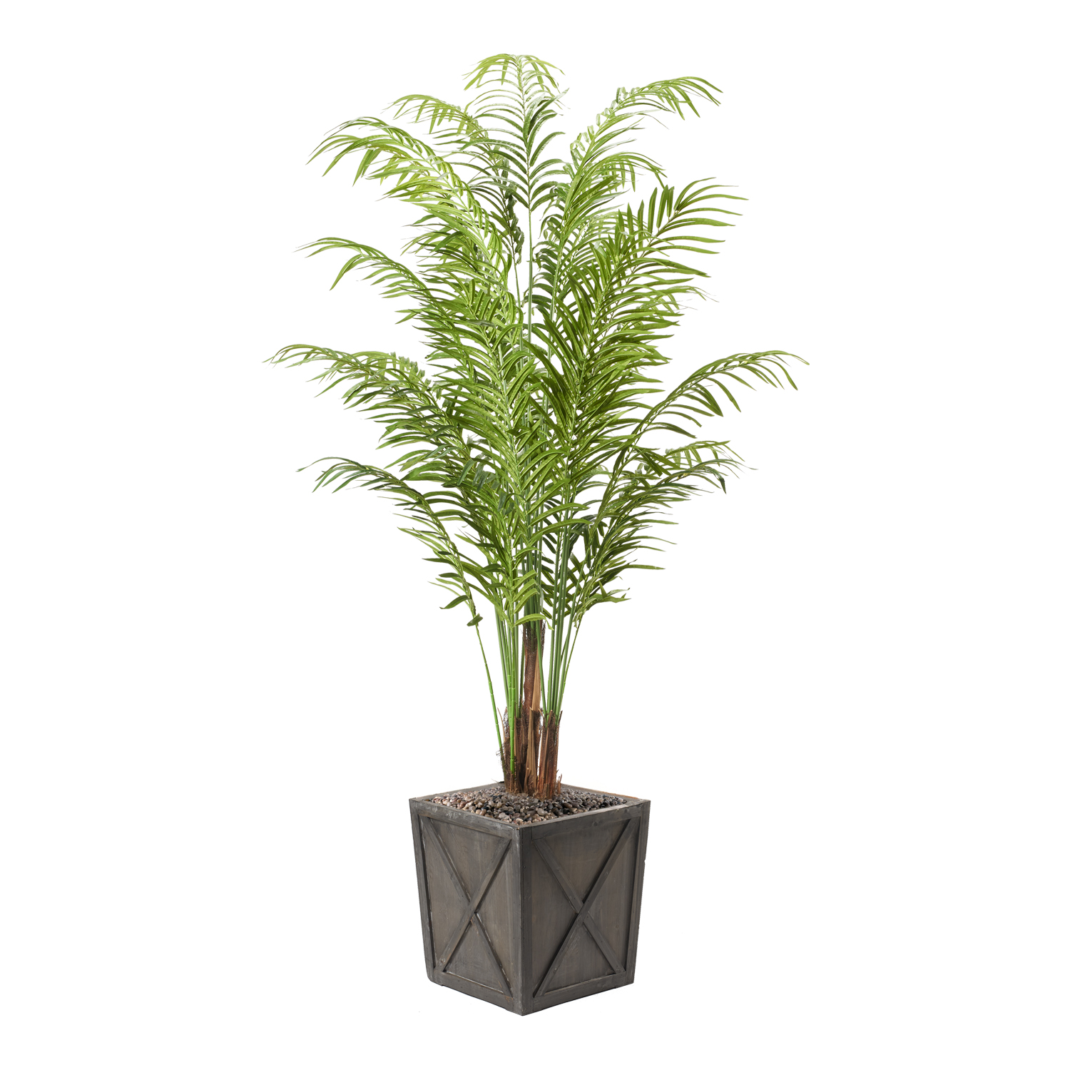 Areca Palm in Grange Planter 8' - 321842