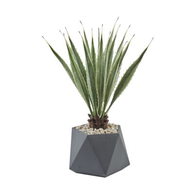 3.5' Agave Plant in Large Grey Jagger Planter - 322124