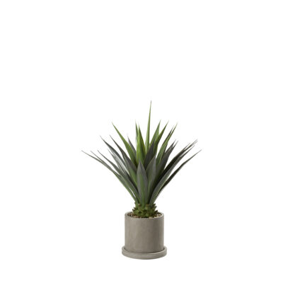 Agave Plant in Marta Planter 4' - 322700