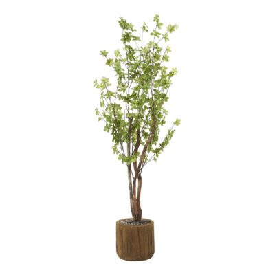 Star Foliage Branch in Asher Planter 5.5' - 322705