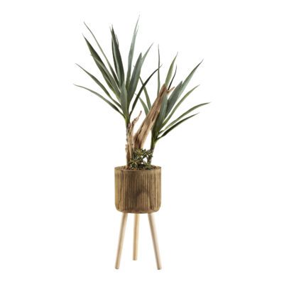 Dracaena & Ghostwood in Asher Planter with Legs 3.7' - 322913