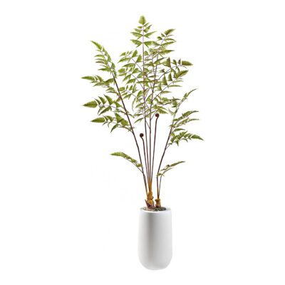 Leather Fern in Quinn Planter 6.3' - 322920