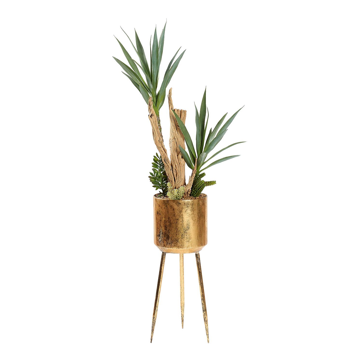 Yucca, Ghostwood & Assorted Succulents in Regina Planter (with legs) 4.4' - 323020