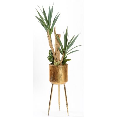 Yucca, Ghostwood, and Mixed Succulents in Medium Regina Planter (with legs) - 323020