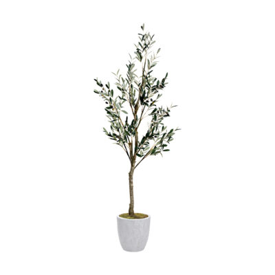 Olive Tree in Round White Textured Planter 6.5' - 323411