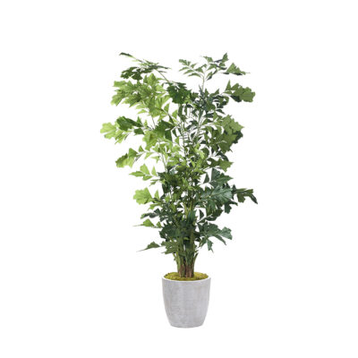 Fishtail Palm in Hudson Planter 9' - 323617