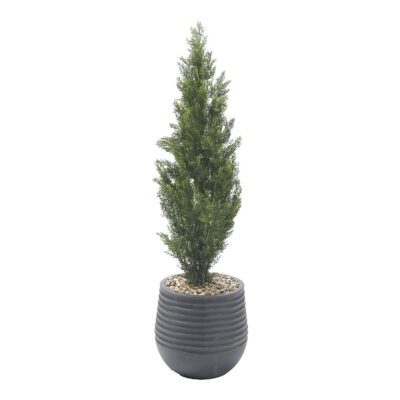 Cedar Topiary in Mariella Planter 4' - 323801