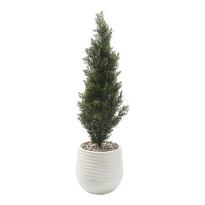 Cedar Topiary in Mariella Planter 4' - 323802