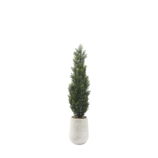 Cedar Topiary in Artemis Planter 6' - 323803