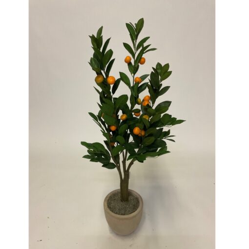 4' Orange Tree in XS Grove Planter - 323809