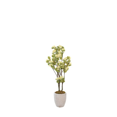Snowball Plant in Hudson Planter 3.6' - 323814