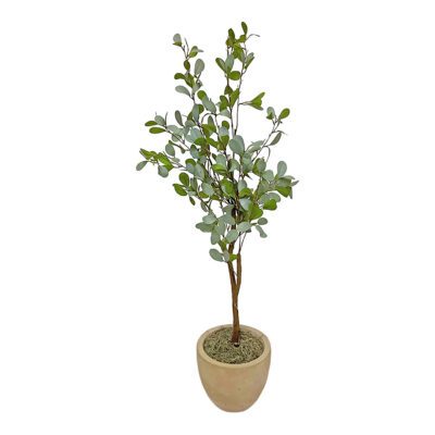 Mini Eucalyptus in Grove Planter 4.3' - 323817