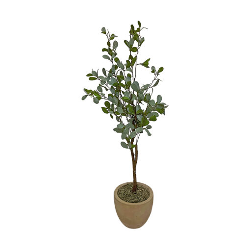 Mini Eucalyptus in Grove Planter 4.3' - 323817 - Image 2