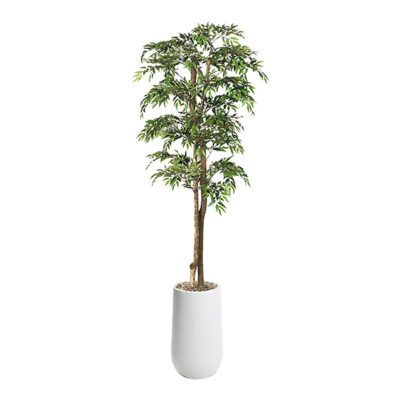 Ruscus Tree in Quinn Planter 6' - 323819-2532