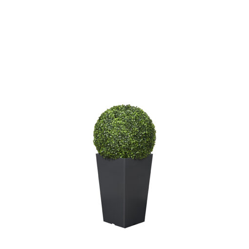 Boxwood Ball in Black Plastic Planter 2.6' - 323842