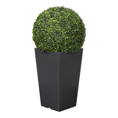 Boxwood Ball in Black Plastic Planter 2.6' - 323842