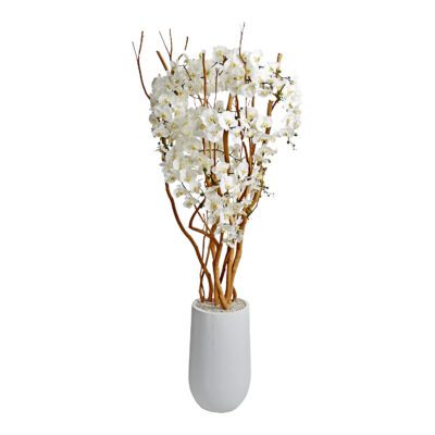 White Orchid Tree in Quinn Planter 7' - 324309