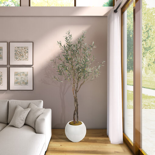 Fruited Olive Tree in Porter Planter 8' - 324313 - Image 2