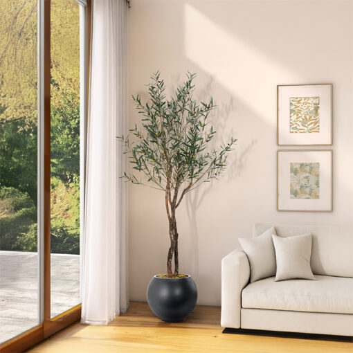 Fruited Olive Tree in Porter Planter 8' - 324314 - Image 2
