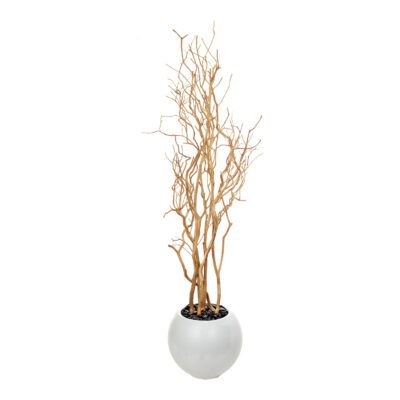 Sandblasted Dragonwood in Porter Planter 7.5' - 324316