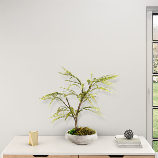 Maiden Hair Fern Spray in Newport Bowl - 324320 - Image 2
