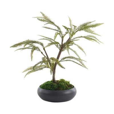 Maidenhair Fern Spray in Simply Low Bowl 2.5 - 324321