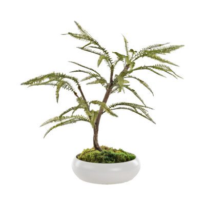 Maidenhair Fern Spray in Simply Low Bowl - 324322
