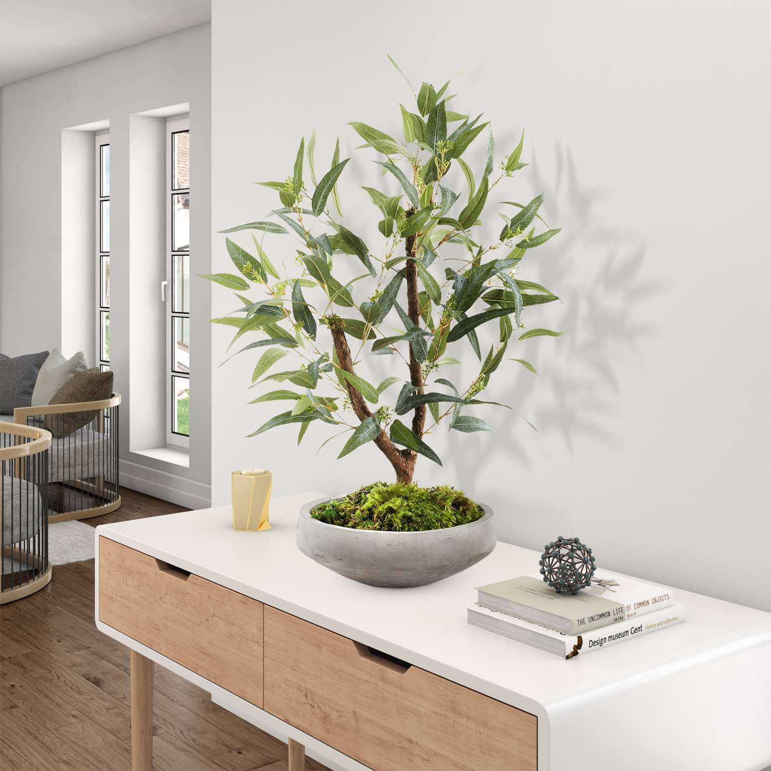 Eucalyptus in Newport Bowl - 324323 - Image 2