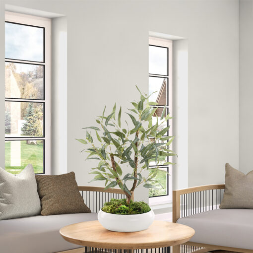 Fruited Eucalyptus in White Bowl - 324325 - Image 2