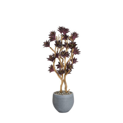 Frosted Purple Succulent Tree with Sandblasted Dragonwood in Riband Planter 7.5' - 324326