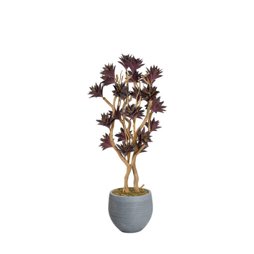 Frosted Purple Succulent Tree with Sandblasted Dragonwood in Riband Planter 7.5' - 324326